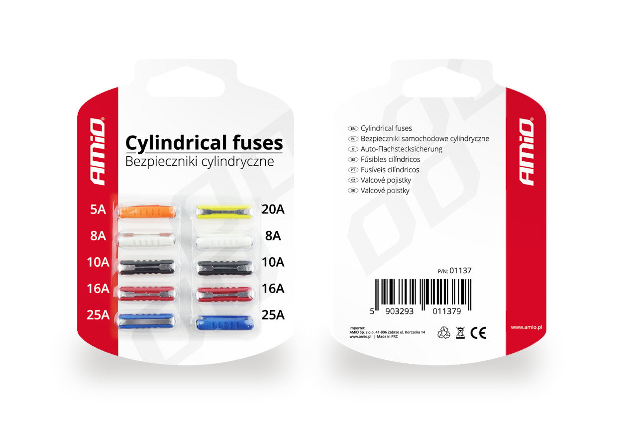 Blisterpackung mit 10 zylindrischen Autosicherungen
