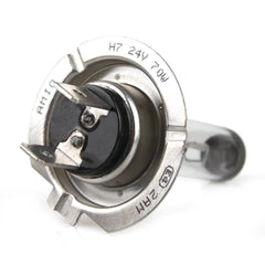 H7 Halogenlampe mit UV-Filter