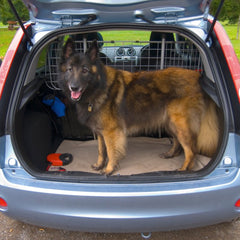 Carpoint Universal-Hundegitter mit Netz 